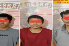 Diduga Curi Sawit, Tiga Petani Ditangkap