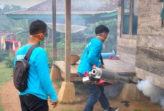 Cegah DBD, Puskesmas Buay Pemaca Gelar Fogging
