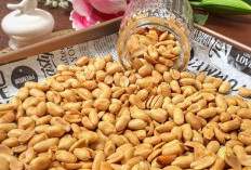 Resep Kacang Bawang Gurih dan Renyah, Camilan Favorit untuk Segala Kesempatan