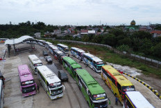 Tarif Tol Dibebaskan Jika Terjadi Antrean Panjang saat Mudik Lebaran 2024