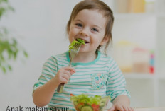 Cara Buat Anak Suka Makan Sayur