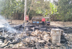 Sebuah Gudang Panglong Kayu di OKU Selatan Hangus Terbakar