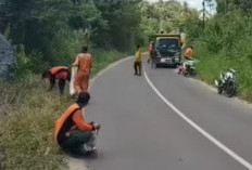 Sisir Sampah di Sejumlah Titik