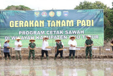 OKU Timur Masuk Empat Besar Nasional Produksi Beras 2025