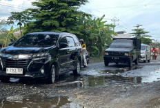 Jalan Berlubang Ancam Warga OKU