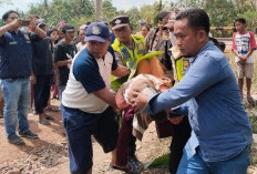 Pengendara Beat Tewas Tertabrak Kereta Api Penumpang