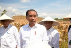 Jokowi Hormati Putusan MK 