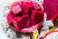 Manfaat Buah Naga untuk Kecantikan Wajah: Rahasia Kulit Sehat dan Bersinar