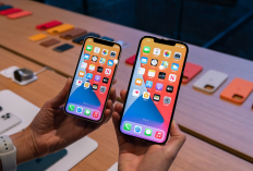 Harga iPhone Anjlok Awal 2026, Diskon iBox Tembus Rp 5,5 Juta! Waktu Terbaik Beli iPhone?