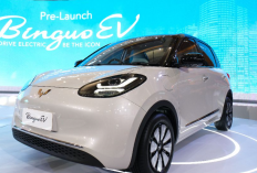 Mobil Listrik Retro Modern Wuling Binguo EV, Cuma Rp317 Juta Bisa Tempuh Jarak hingga 410 Km