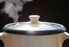 Rekomendasi Rice Cooker Cepat Masak 2025 Pilihan Low Watt yang Bikin Hidup Lebih Praktis