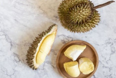 Apakah Durian Bisa Mengatasi Tekanan Darah Rendah? Ini Faktanya