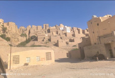 Tarim Habib