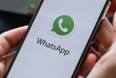 Cara Mudah Menghapus Saluran WhatsApp yang Tak Perlu