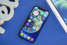 Cari iPhone Murah dan Ngebut? iPhone 12 dan 13 Jadi Jawaban di Tengah 2025