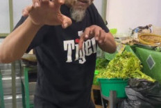 Aktor Preman Pensiun Epy Kusnandar Wafat