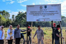 Sengketa, Kejari OKI Pasang Plang di Hutan Kota Kayuagung