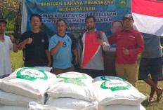 Beri Bantuan Pakan Ikan Atasi Masalah Kendala Kelompok Pembudidaya Ikan