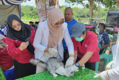 1 Korban Jiwa Akibat Positif Rabies