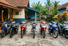 7 Motor Bekas Paling Irit dan Awet 2026, Harga Mulai Rp3 Juta Tapi Performa Gak Kaleng-Kaleng!