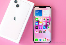 iPhone Turun Harga Besar-Besaran! Seri 13 Sampai 16 Kini Lebih Murah 