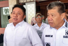 Jembatan Sumsel-Babel hingga BUMN Dibahas