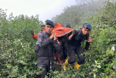 75 Pandaki Gunung Marapi Dievakuasi