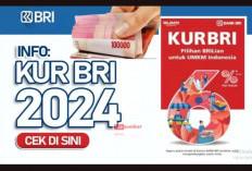 KUR BRI, Jadi 