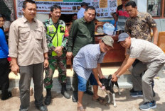 Cegah Penyebaran Rabies Imbau Pemilik Anjing Lakukan Vaksinasi