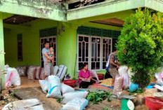 Harga Duku Stabil, Petani Senang