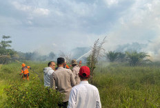 Temukan 3 Lokasi Karhutla, BOBD OKI Berjibaku Padamkan Api