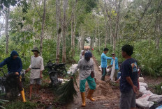 Warga Talang Meliku Desa Karang Agung Swadaya Perbaiki Jalan