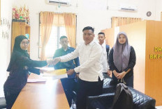 Honorer Non-Database Gagal CPNS Desak Masuk Skema PPPK Paruh Waktu