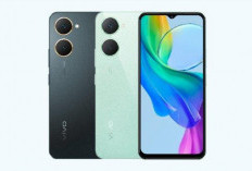 Vivo Y03 vs Vivo Y17s, Duel HP Rp 1 Jutaan, Pilih Kamera atau Layar Mulus?