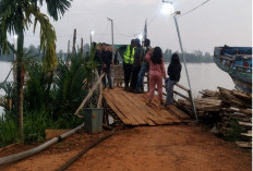 Pria Diterkam Buaya Saat Perbaiki Jukung di Banyuasin