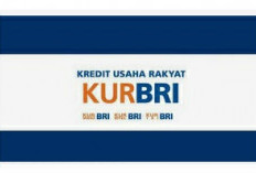 Lagi Ajukan KUR di Bank BRI,  Berikut Panduan Agar Pinjaman Bisa Cair