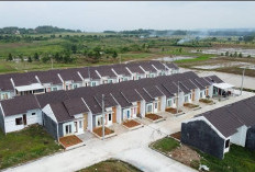 Penyaluran KPR Subsidi Didominasi FLPP, BRI Perkuat Komitmen Tingkatkan Akses Hunian Terjangkau dalam Program 