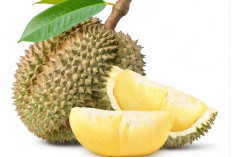 Trik Jitu Membedakan Durian Muda dan Tua, Dijamin Tidak Tertipu!