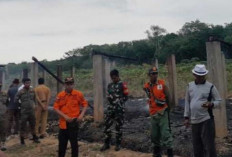 Kandang Terbakar, 9.000 Anak Ayam Habis Terpanggang