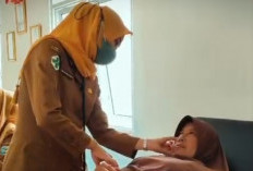 Waspada DBD di Musim Hujan, Imbau Warga Terapkan Gerakan 3M Plus