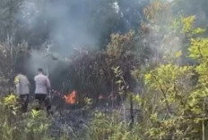 Diduga Dipicu Puntung Rokok, Hanguskan Sekitar 4 Hektare Lahan 
