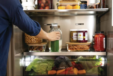 Kulkas 1 Pintu Murah yang Ternyata Awet Bertahun-Tahun