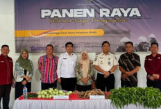 Dukung Ketahanan Pangan Nasional, Lapas Muaradua Gelar Panen Raya