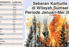 Tiga Daerah di Sumsel Alami Karhutla dengan Luasan Terbesar, OKU peringkat ke 2 setelah Muara enim !