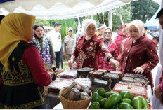 Bawa Pesona Budaya Lokal ke Festival Anjungan Seni Adat Sumsel 2026