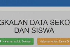 Cara Mudah dan Cepat Mengisi PDSS 2025, Manual atau Sinkronisasi e-Rapor?