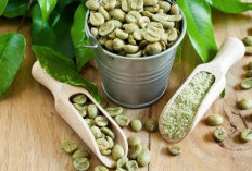 Kopi Hijau: Minuman Sehat dengan Segudang Manfaat untuk Tubuh dan Pikiran