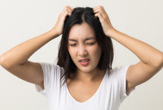 Tips Efektif untuk Mengatasi Kebiasaan Menggaruk Kepala