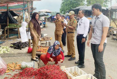 Harga TUrun, Petani Cabe Meradang