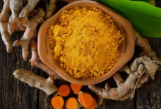 Atasi Pengapuran Tulang Secara Alami: Herbal dan Cara Sehat Redakan Nyeri Sendi